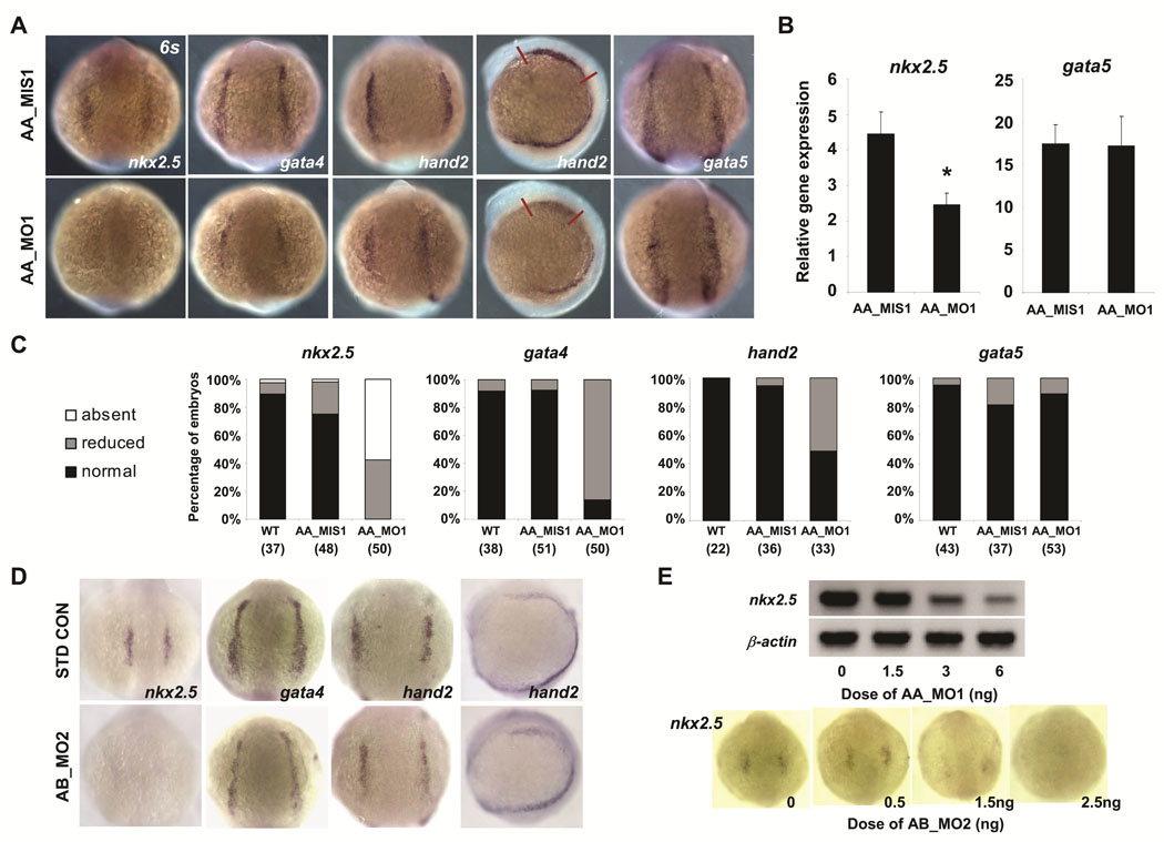 FIGURE 4