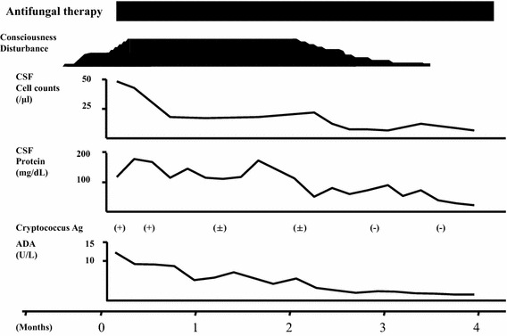 Fig. 2