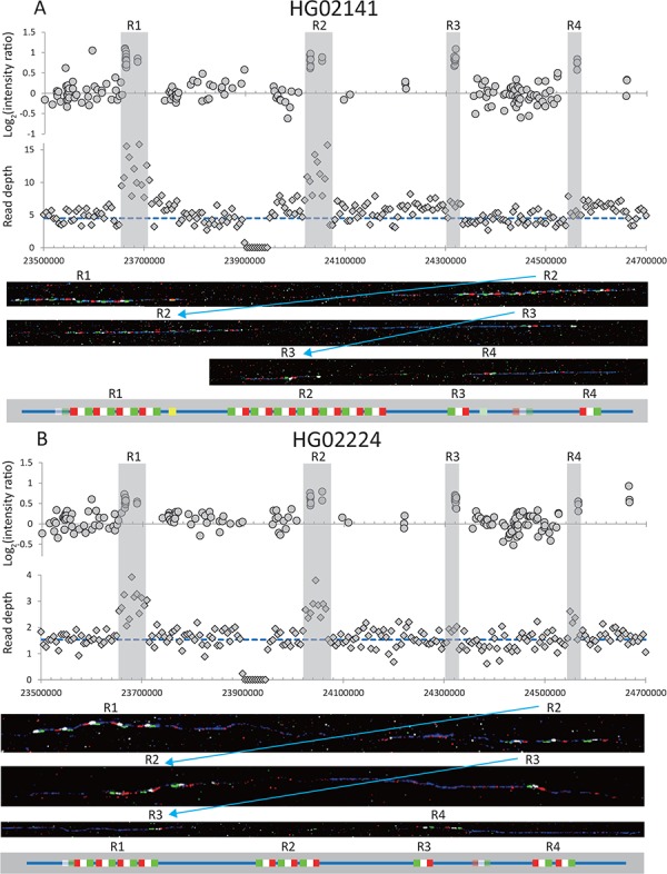 Figure 2