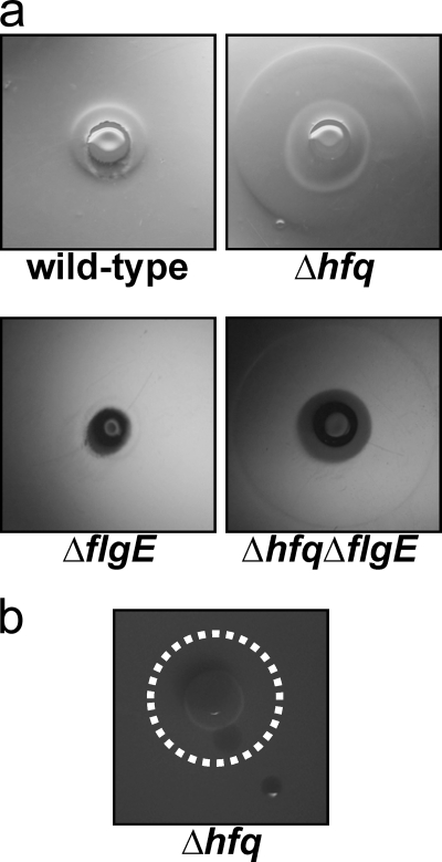 FIG. 7.