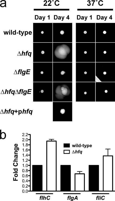 FIG. 6.