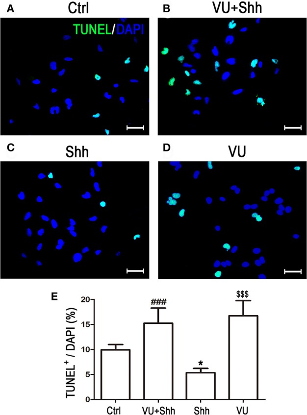 Figure 9