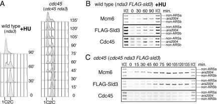 Figure 6.