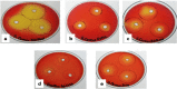 Fig 2