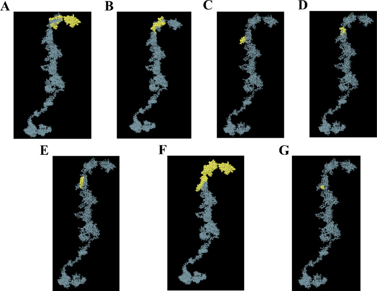 Fig. 4