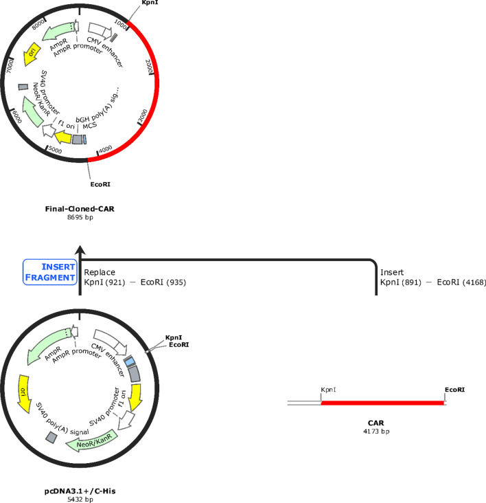 Fig. 7