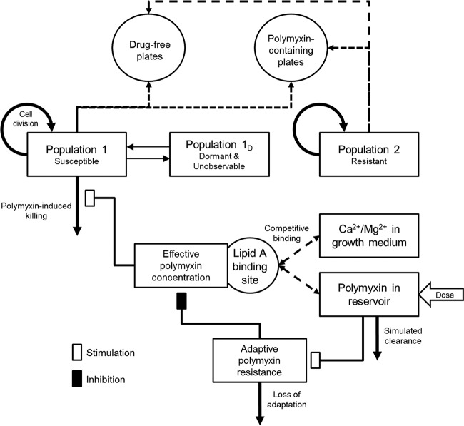 FIG 2