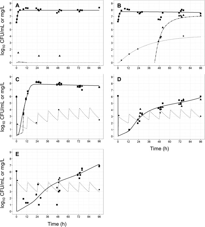 FIG 6