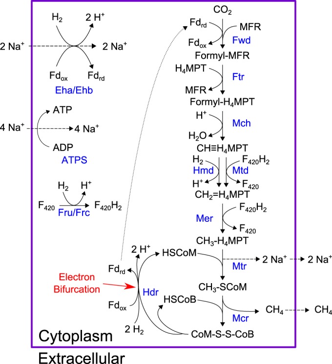 FIG 2