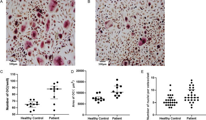 Fig 6