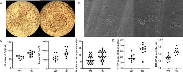 Fig 8