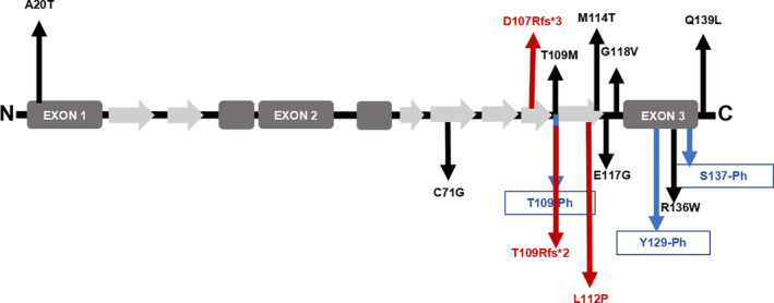 Fig 10