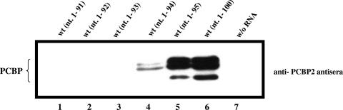 FIG. 5.