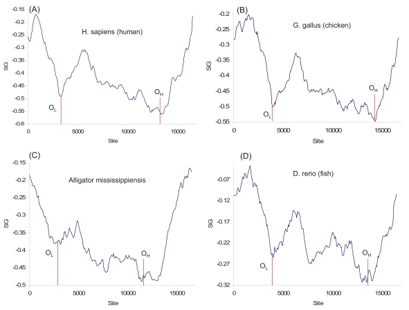 Fig. (9)