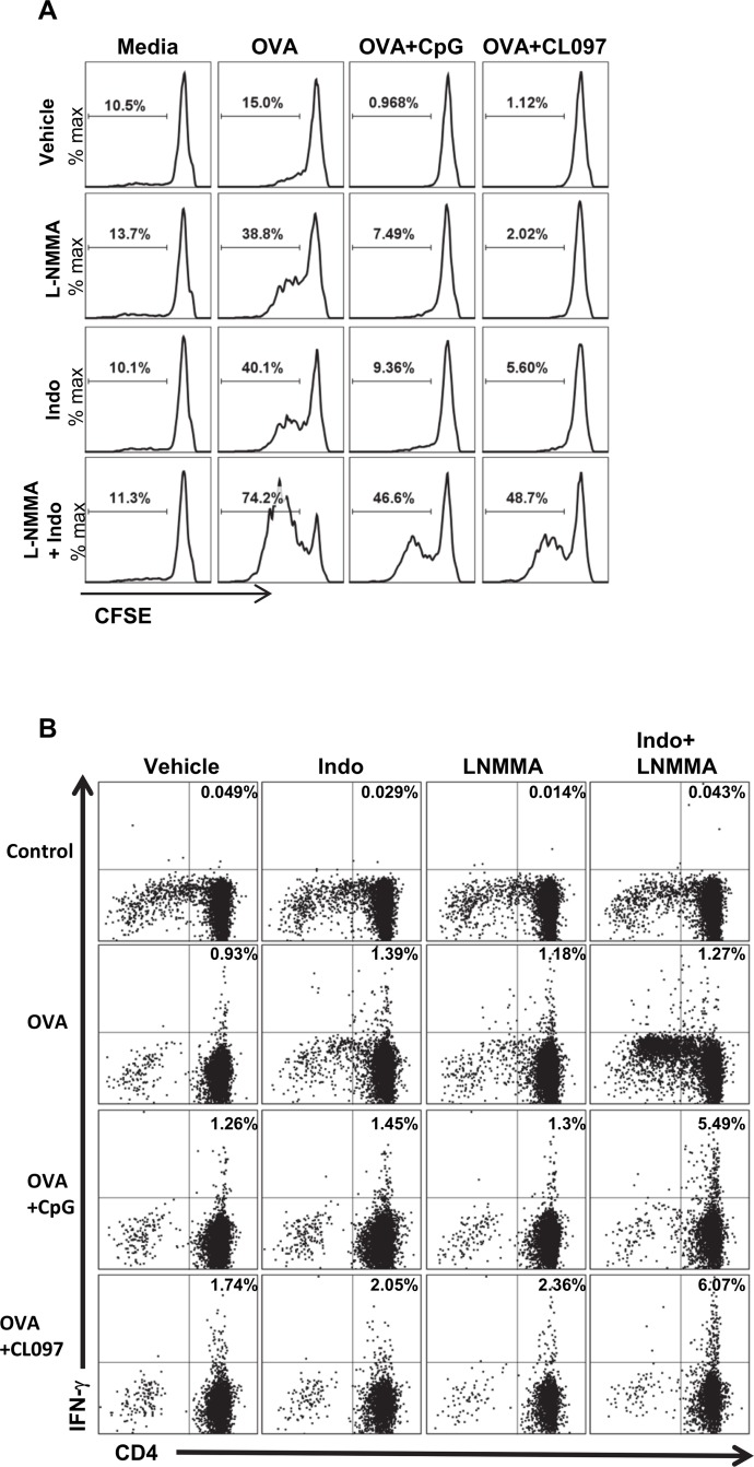 Fig 5