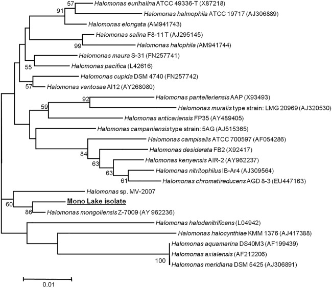 FIG 1