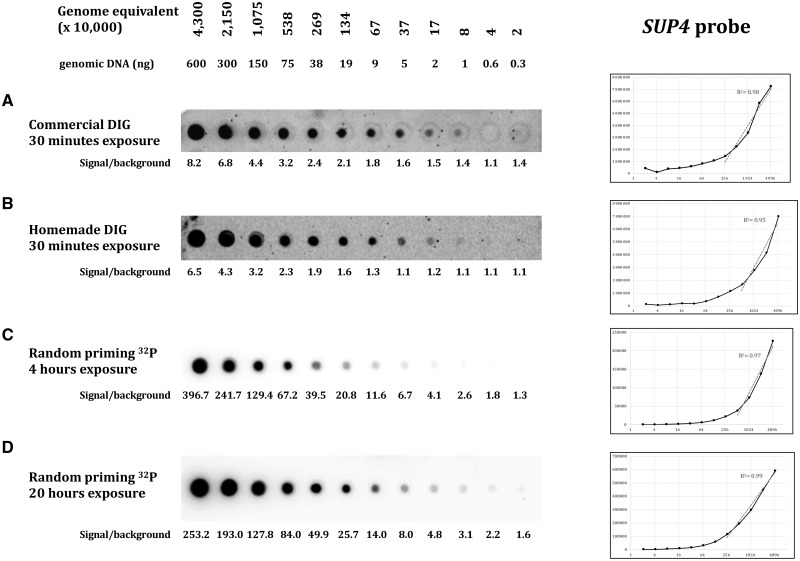 Figure 4: