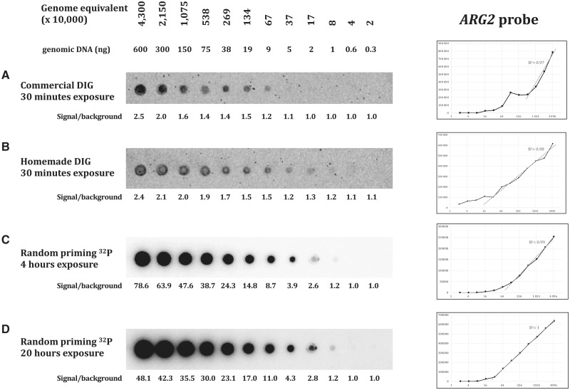 Figure 2: