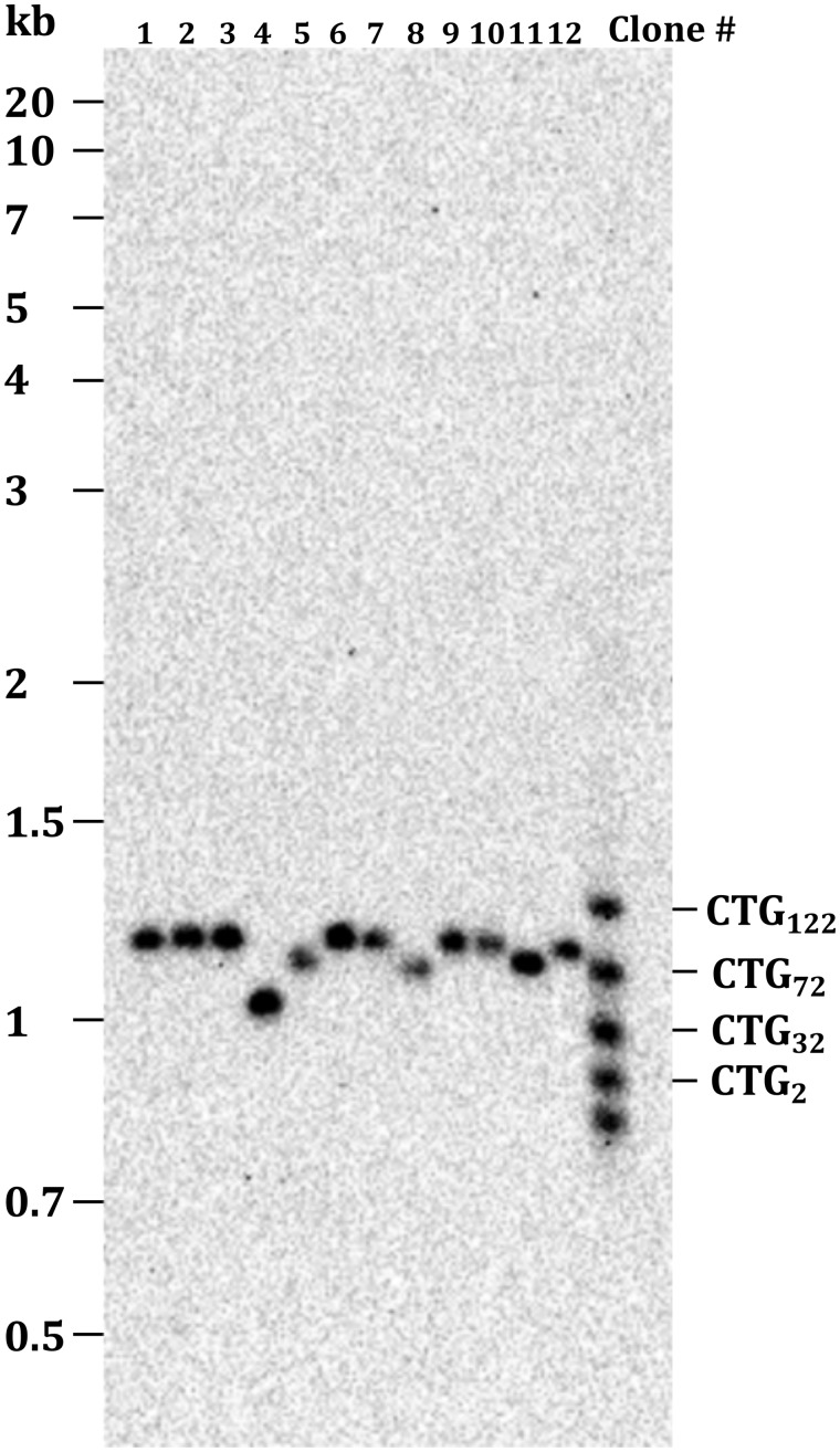 Figure 1: