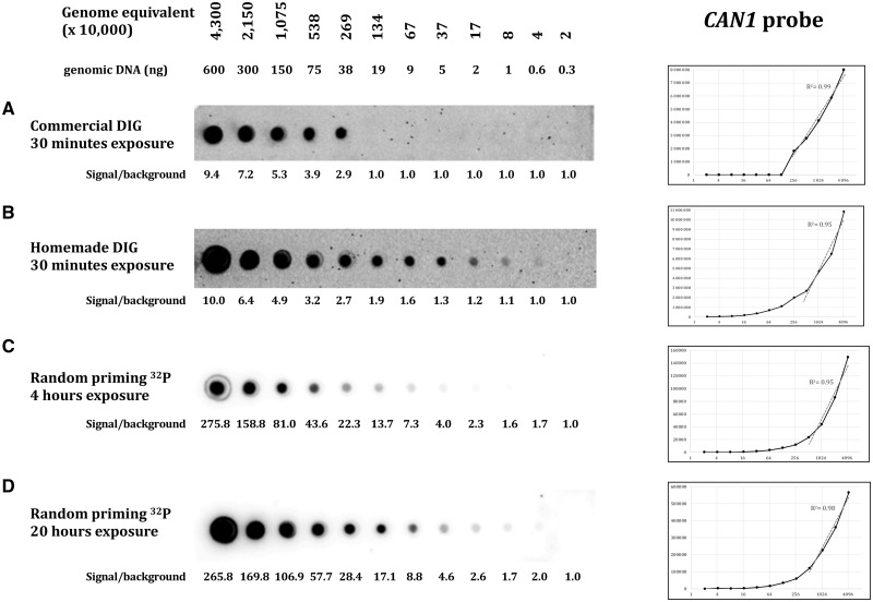 Figure 3: