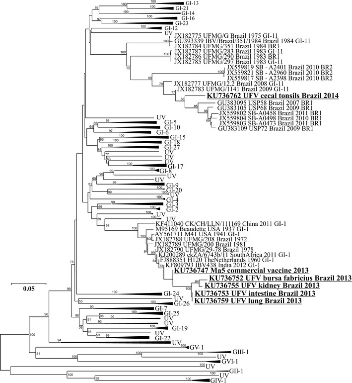 Fig. 1