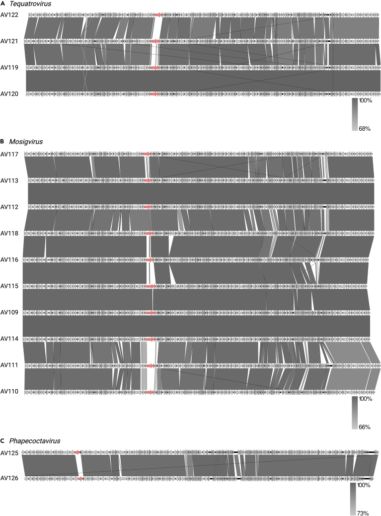 Figure 3