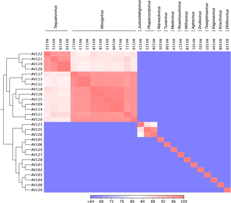 Figure 2