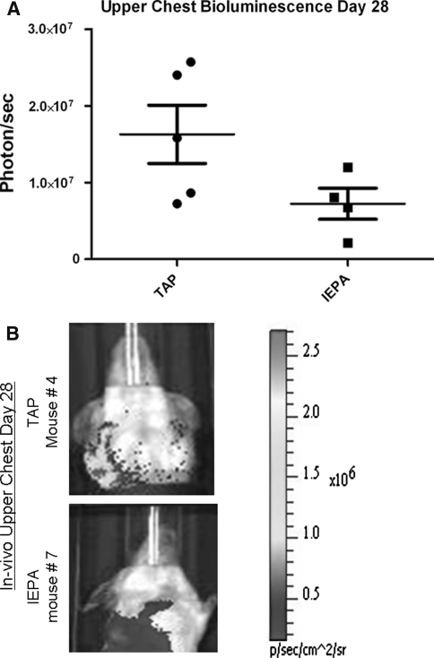 Fig. 4