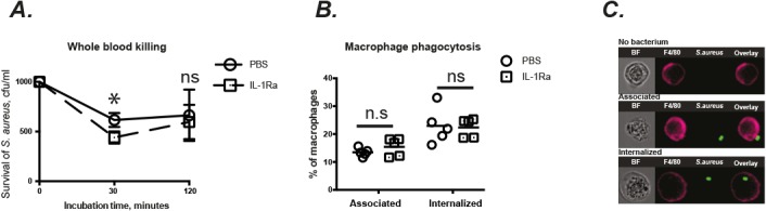 Fig 5