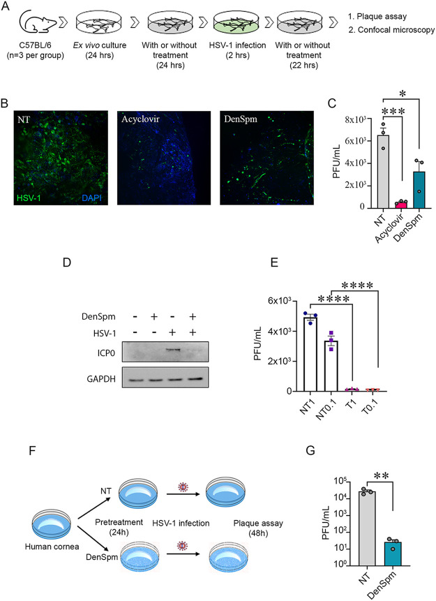 FIG 6