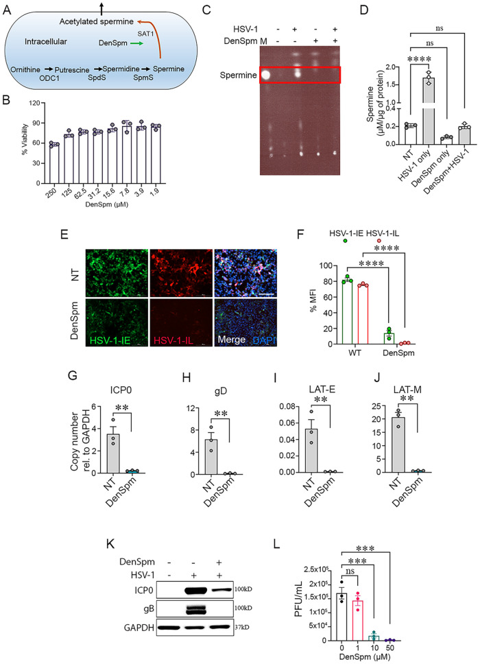 FIG 4