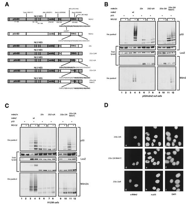 FIG. 3.