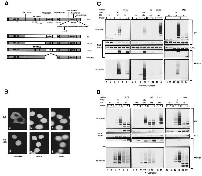 FIG. 4.