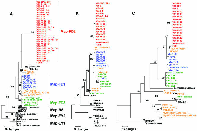 FIG. 3.