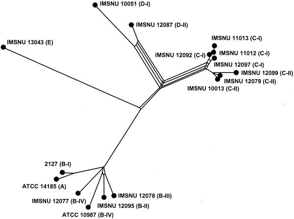 FIG. 3.