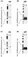 FIG. 4.