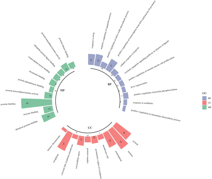 Figure 6