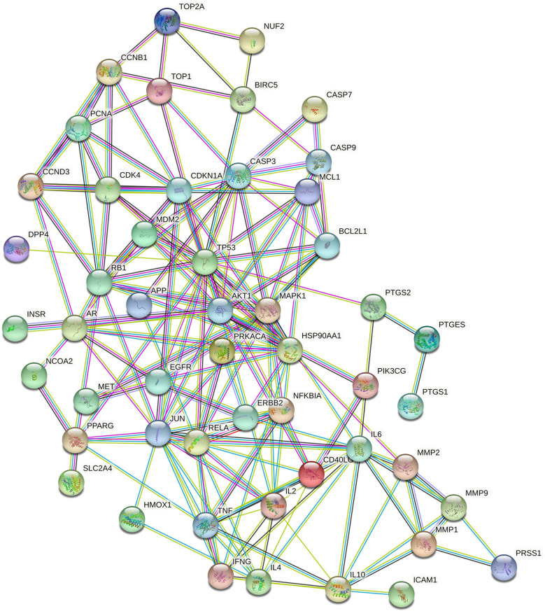 Figure 4