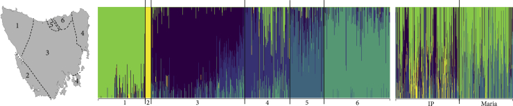 Figure 2