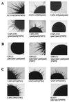 FIG. 3
