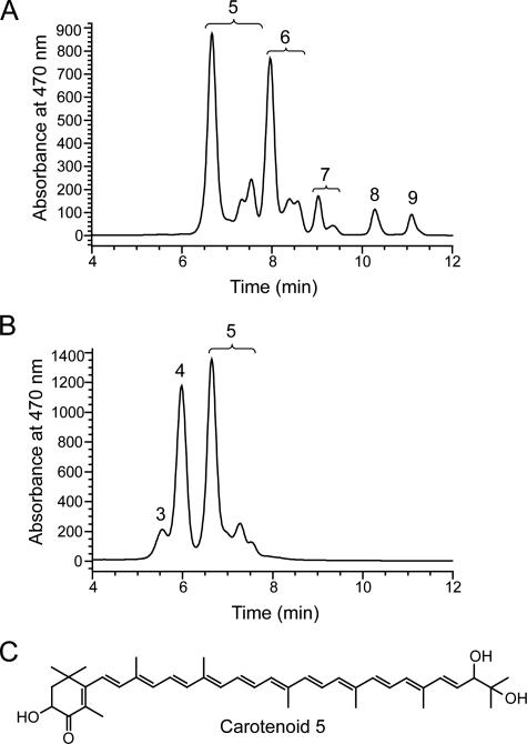 FIG. 2.