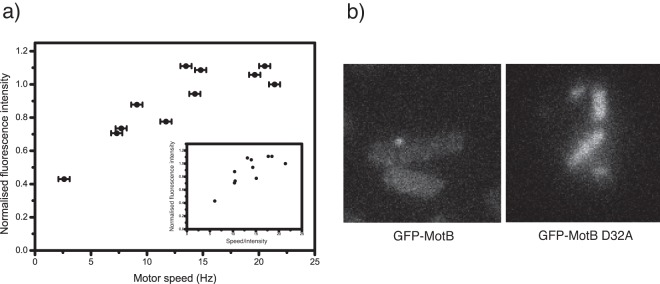 FIG 2 