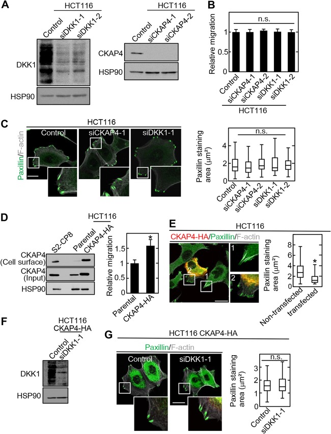 FIG 6