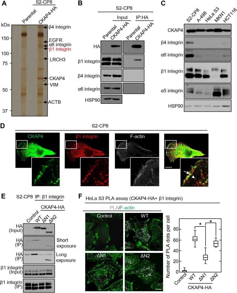 FIG 1