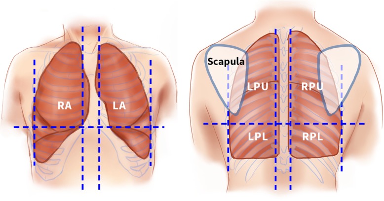 Fig. 2