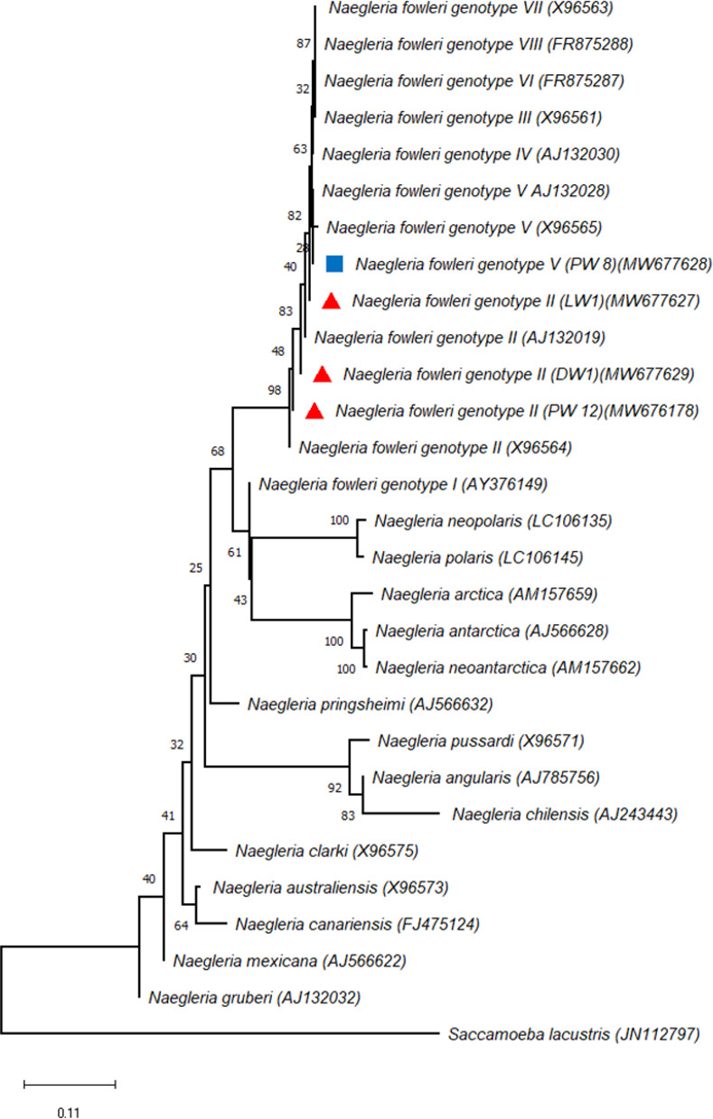 Fig 6