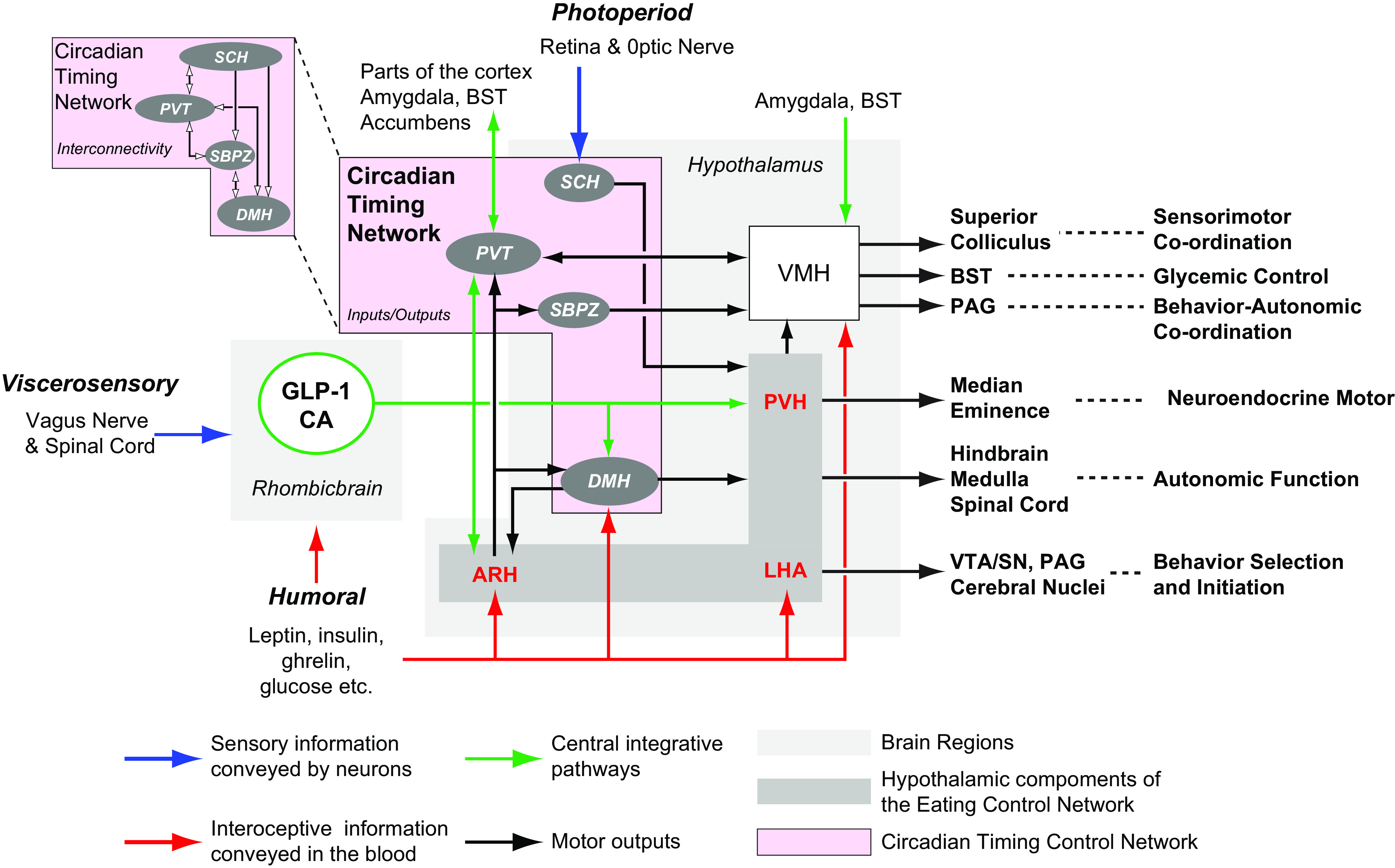 FIGURE 16.