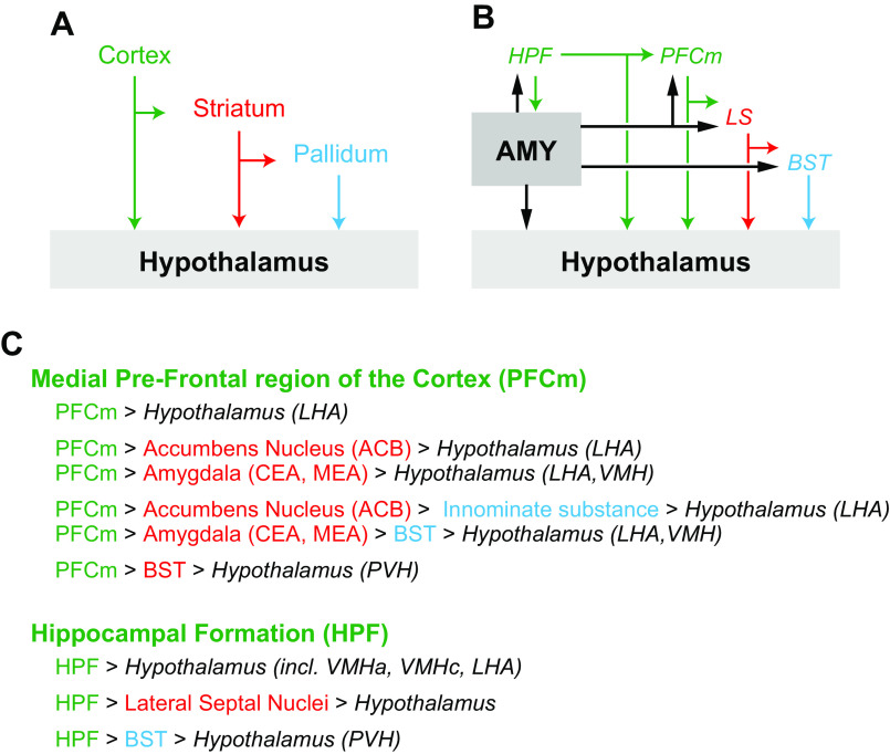 FIGURE 10.