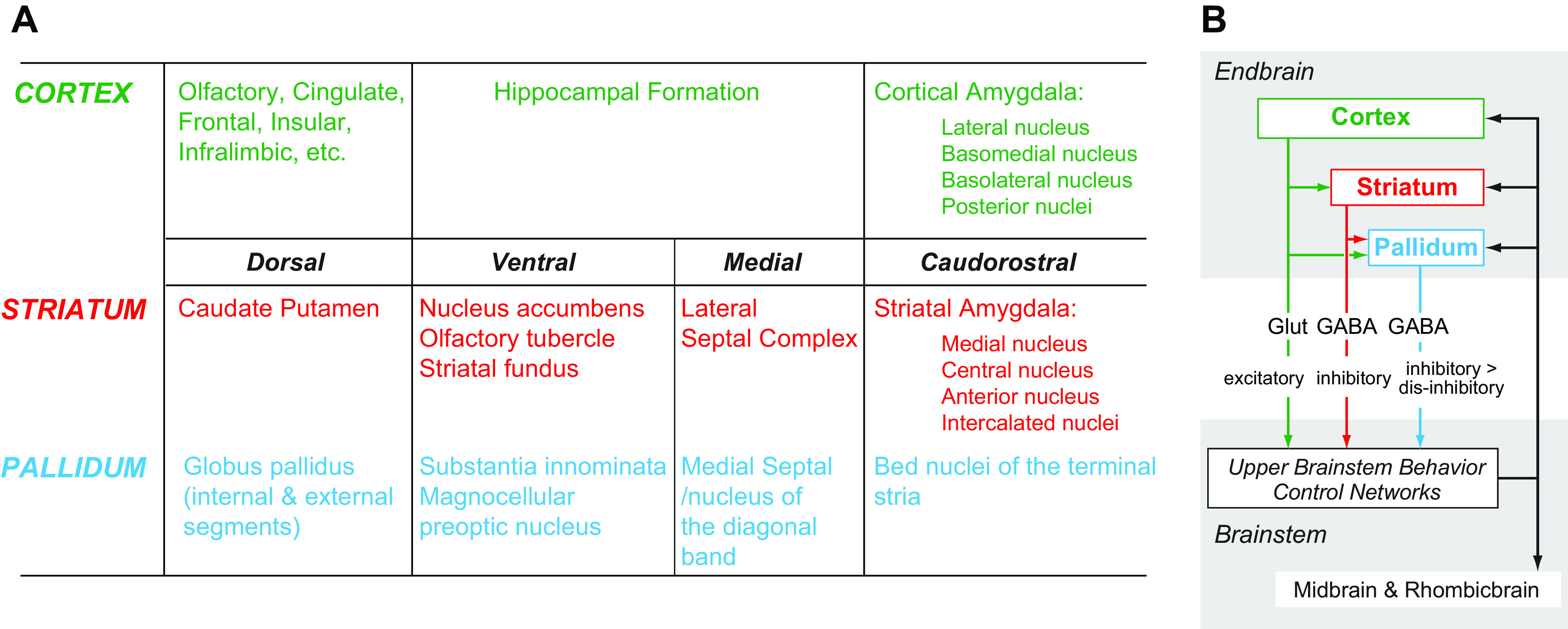 FIGURE 9.