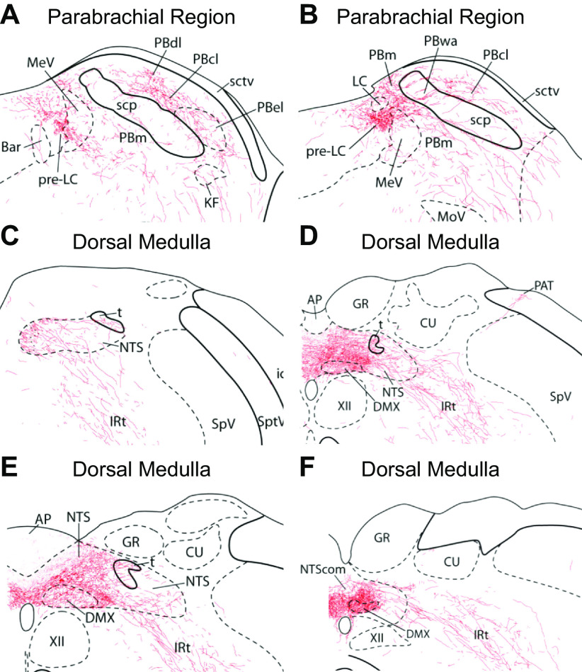 FIGURE 15.